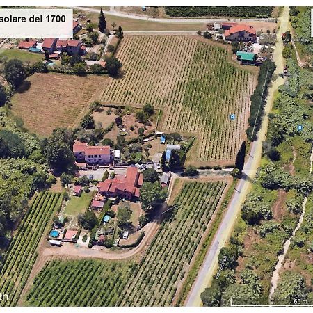 Le Rose , Relax In Casolare Del 1700 Apartamento Sarzana Exterior foto