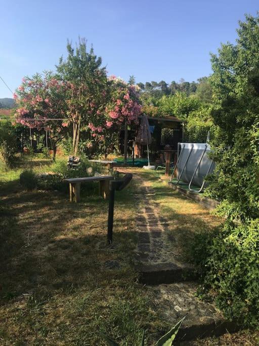Le Rose , Relax In Casolare Del 1700 Apartamento Sarzana Exterior foto