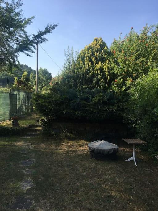 Le Rose , Relax In Casolare Del 1700 Apartamento Sarzana Exterior foto